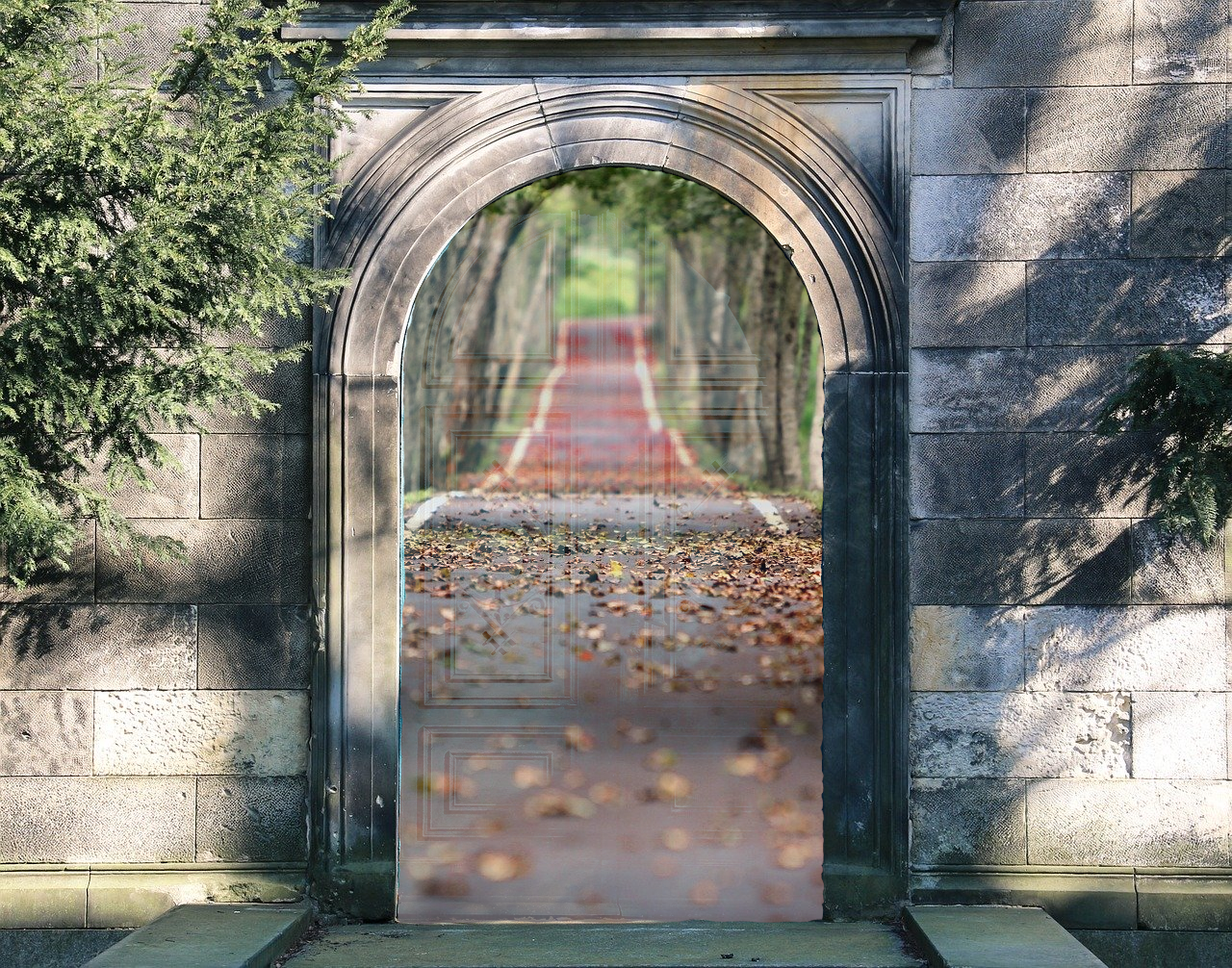 puerta.png nueva realidad
